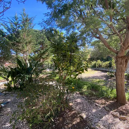 Giens - A Pied -9 Couchages Villa *