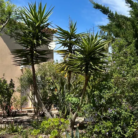 Giens - A Pied -9 Couchages Villa Hyères