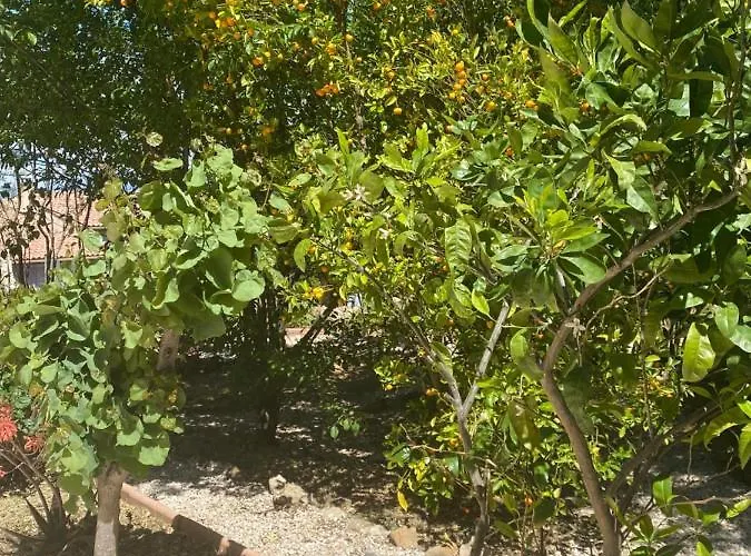 Giens - A Pied -9 Couchages Villa