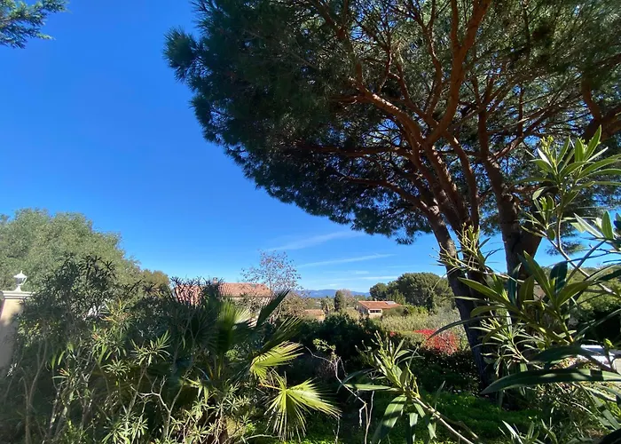 Giens - A Pied -9 Couchages Villa *