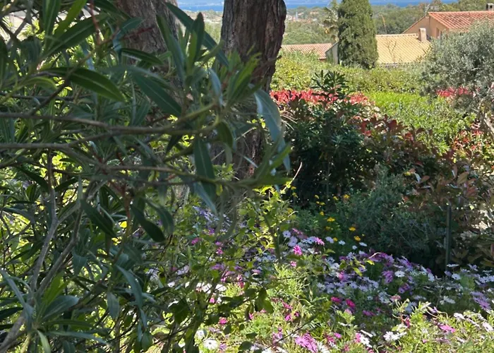 Villa Giens - A Pied -9 Couchages *