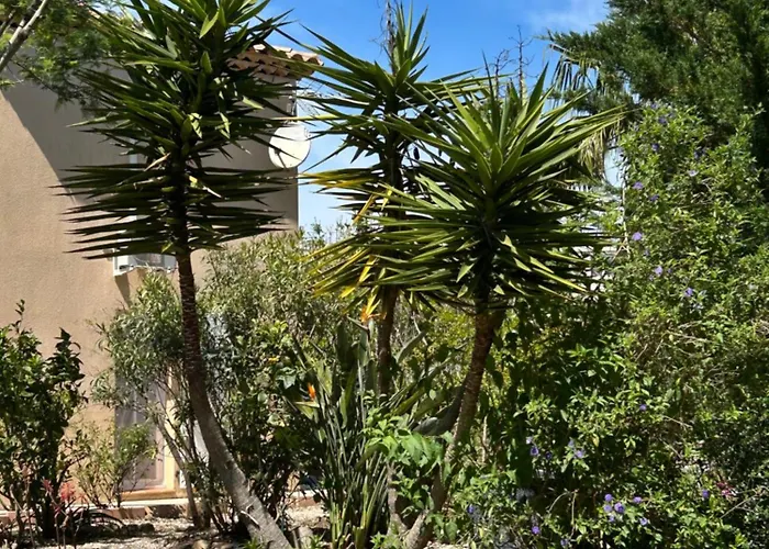 Giens - A Pied -9 Couchages Villa Hyeres