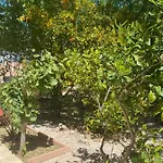 Giens - A Pied -9 Couchages Villa