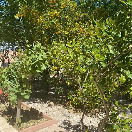 Giens - A Pied -9 Couchages ヴィラ