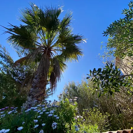 Giens - A Pied -9 Couchages Villa *
