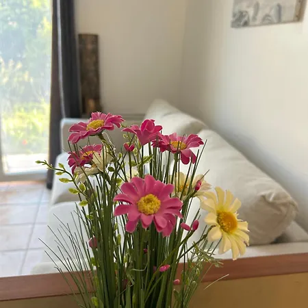 Giens - A Pied -9 Couchages ヴィラ