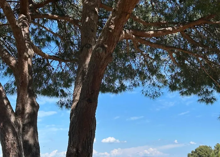 فيلة Giens - A Pied -9 Couchages